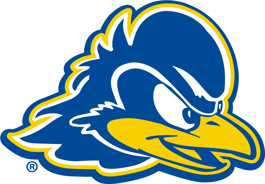 Delaware Blue Hens 2018-Pres Primary Logo t shirts iron on transfers